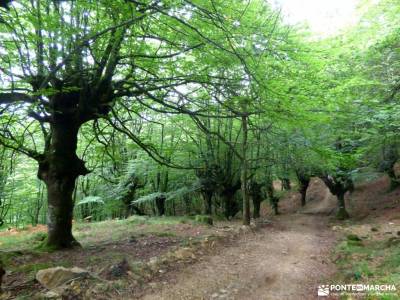 Senderismo Valles Pasiegos, Cantabria; puente de mayo,diciembre; rutas de senderismo